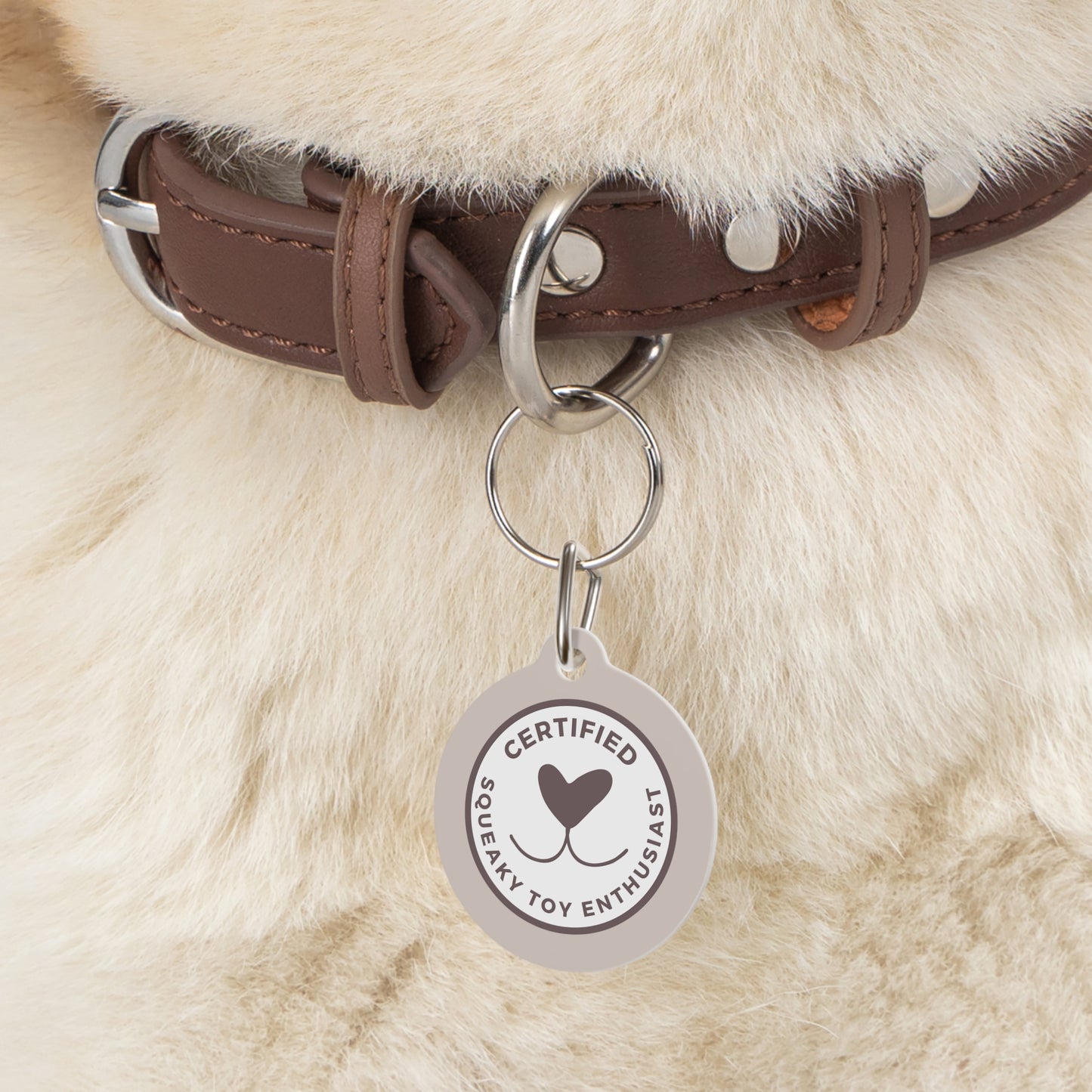 Certified Squeaky Toy Enthusiast  - Pet Tag